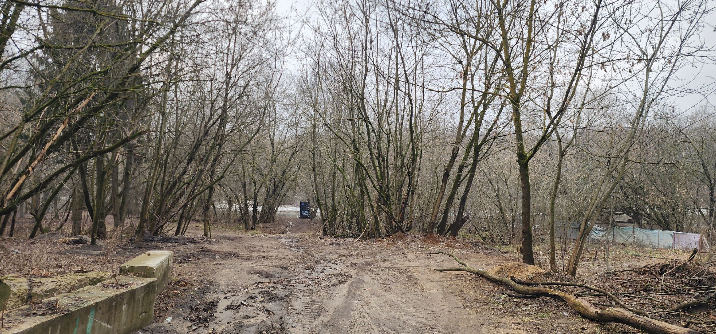 Экология, Пешие проогулки, Благоустройство, Звенигород,