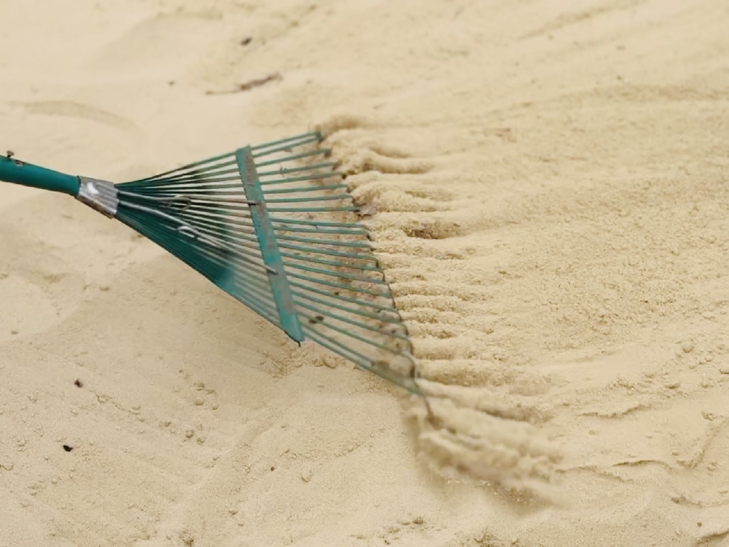 раменское, городской парк, субботник, уборка,