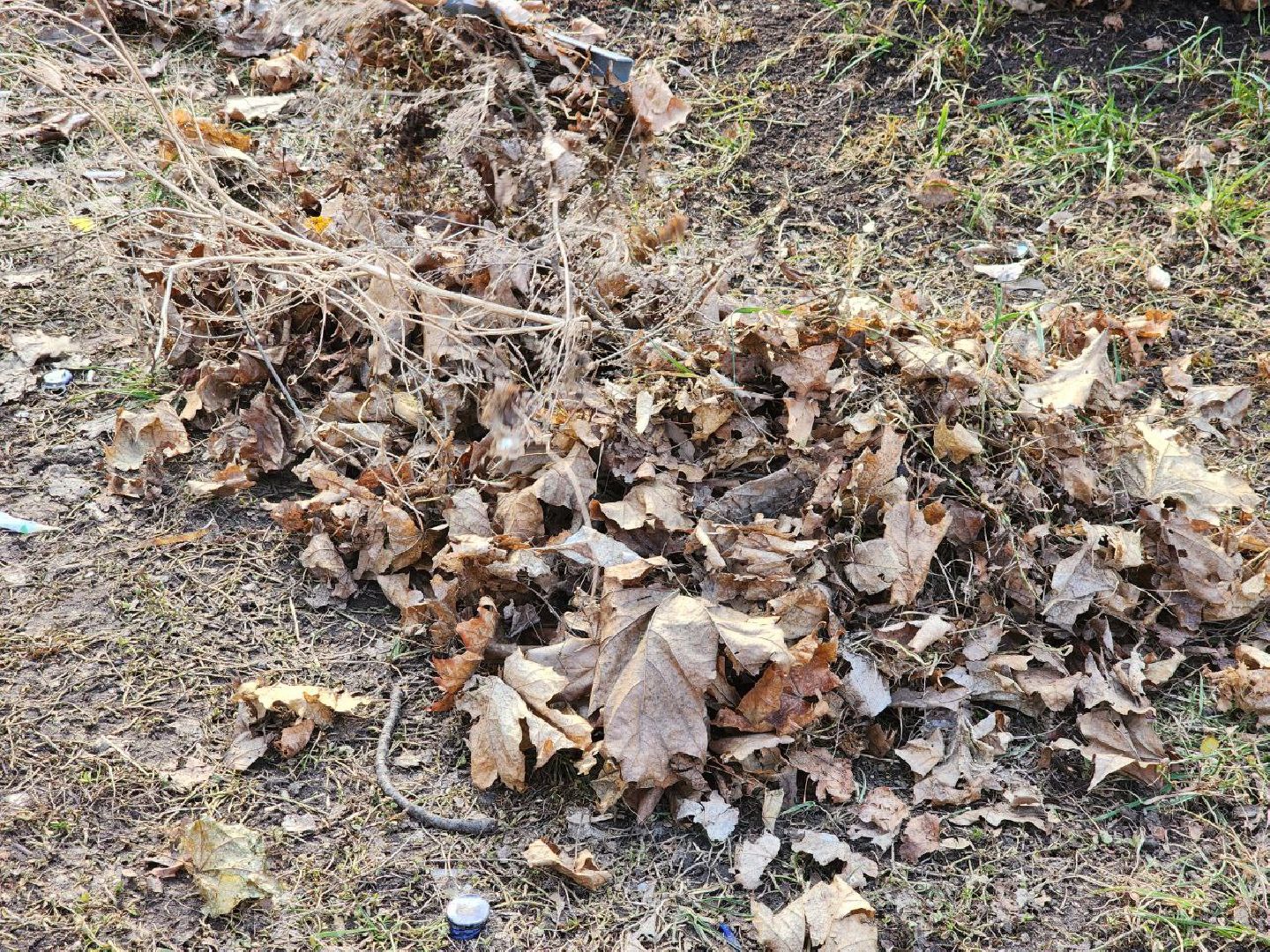 Луховицы, субботник,