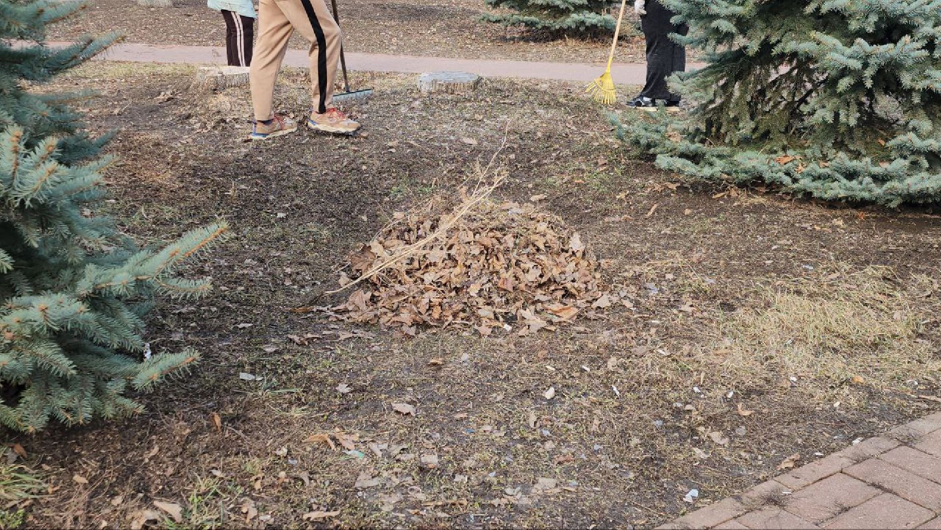 Луховицы, субботник,