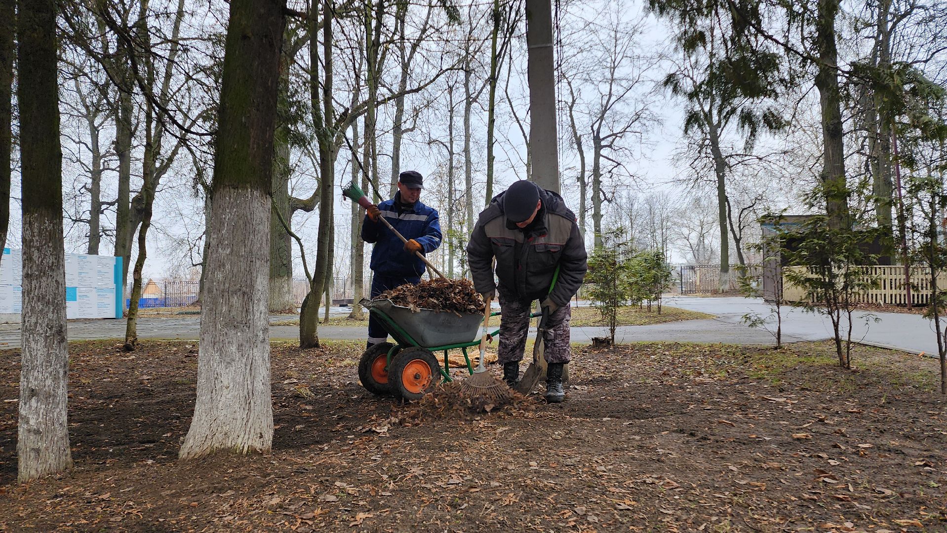 субботник, весенняя уборка,домодедово, благоустройство, подмосковье, парк,