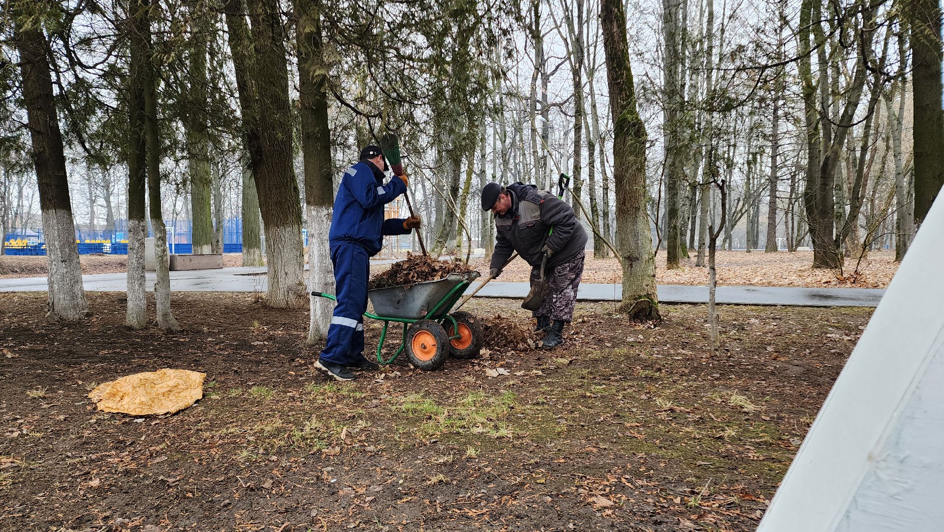 субботник, весенняя уборка,домодедово, благоустройство, подмосковье, парк,