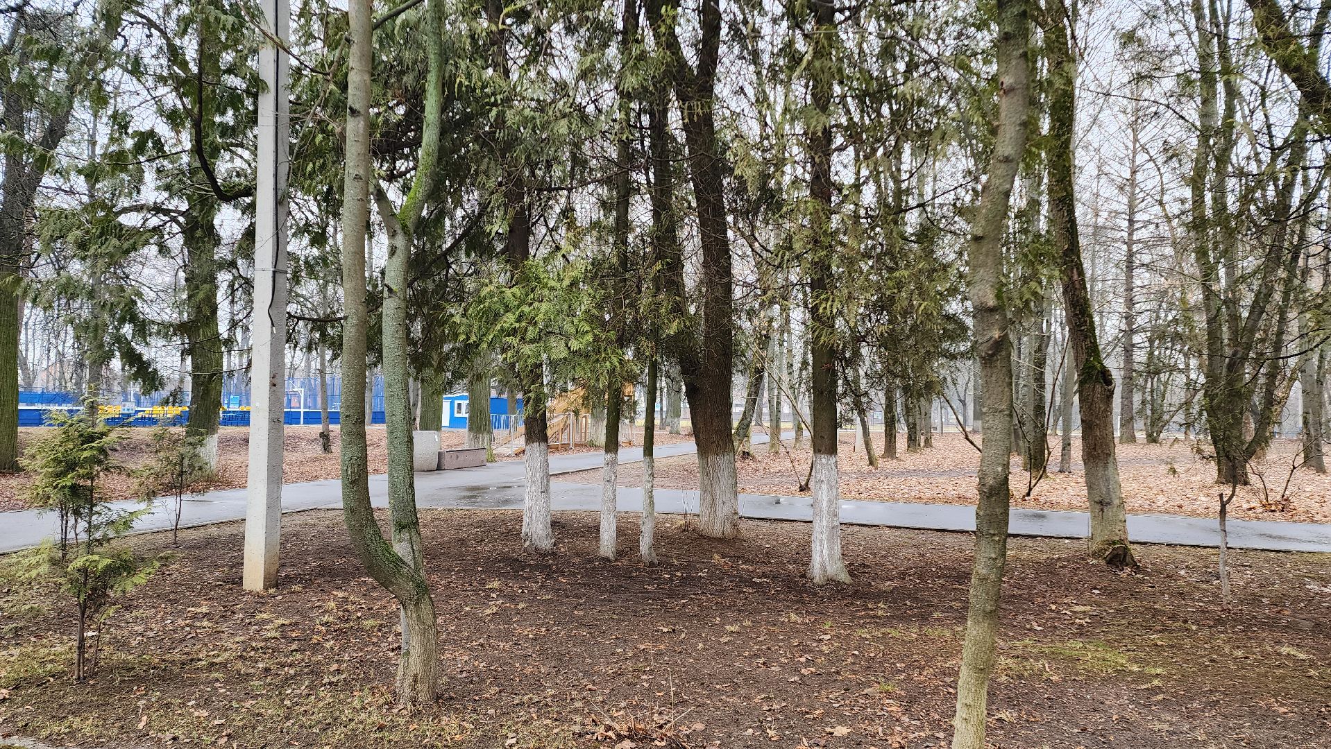 субботник, весенняя уборка,домодедово, благоустройство, подмосковье, парк,