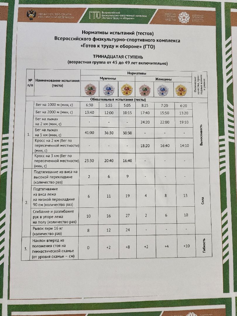 фрязино, гто, физкультура, нормы гто, спорт,