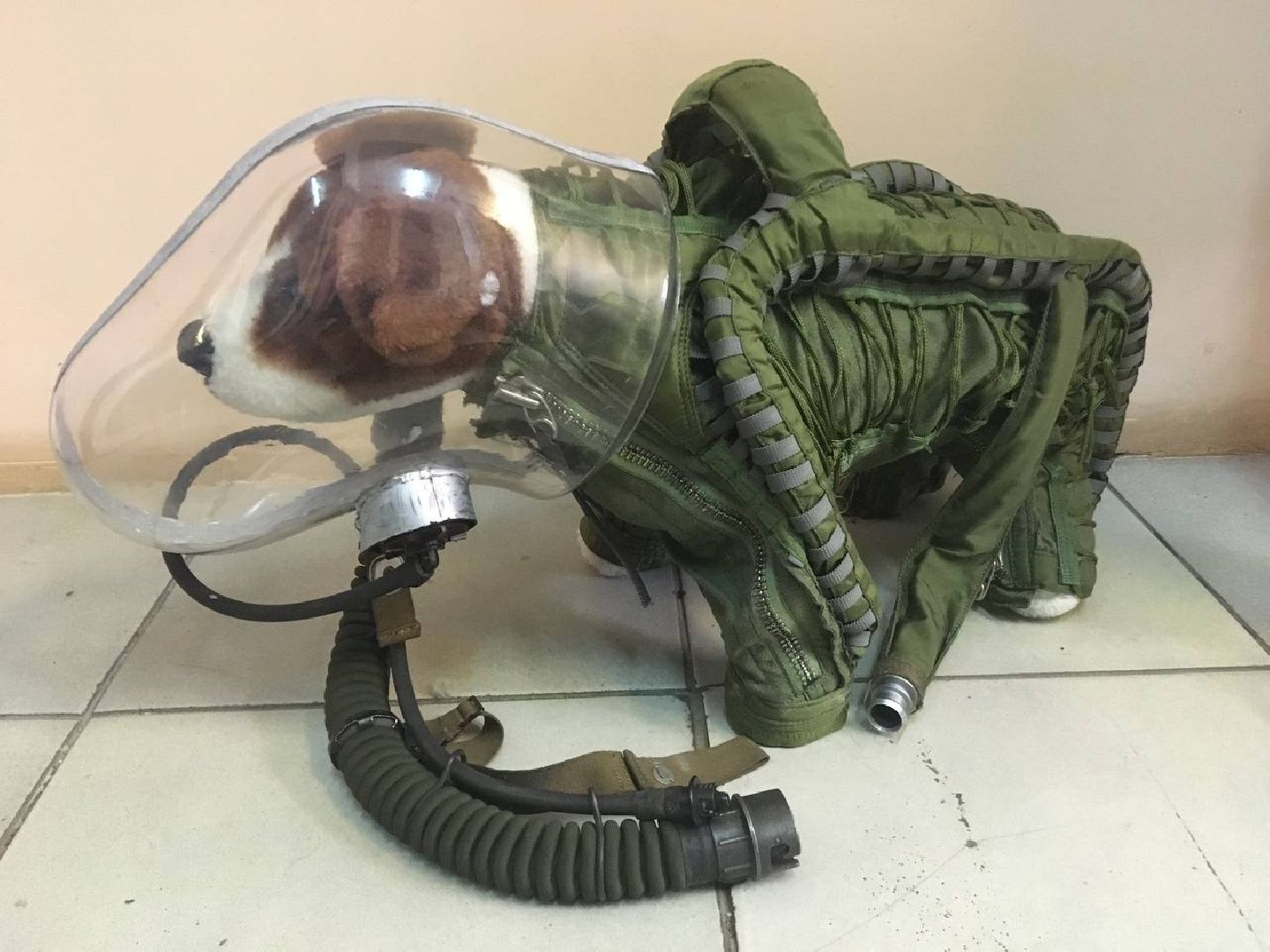 капсула, союз мс, космический корабль, космос, фильм, продажа,