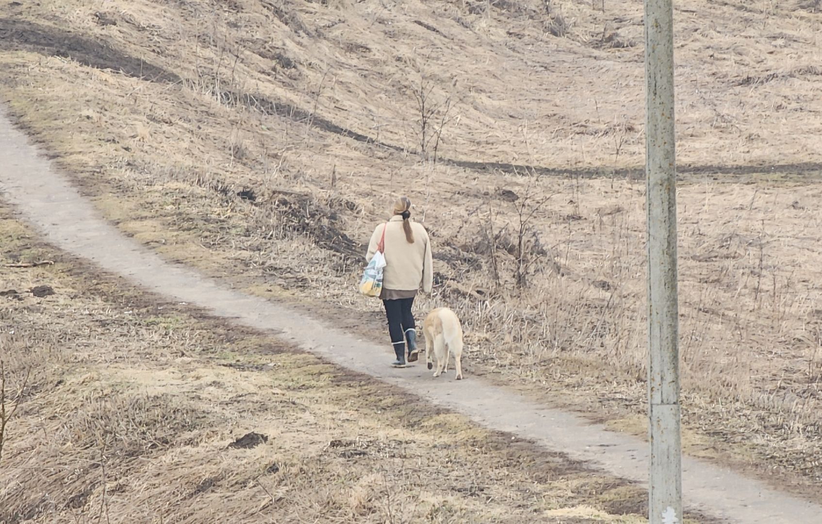 благоуствойство, культура подмосковья, Туризм в Звенигороде,