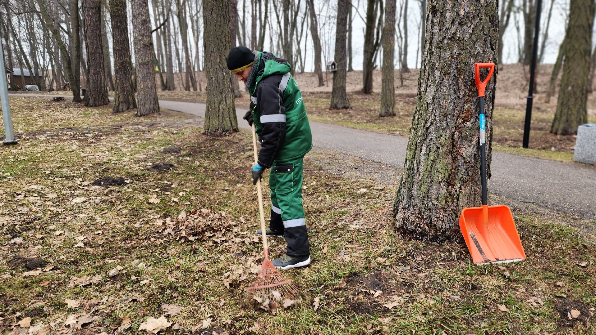 Руза, парк городок, парки подмосковья, субботник,