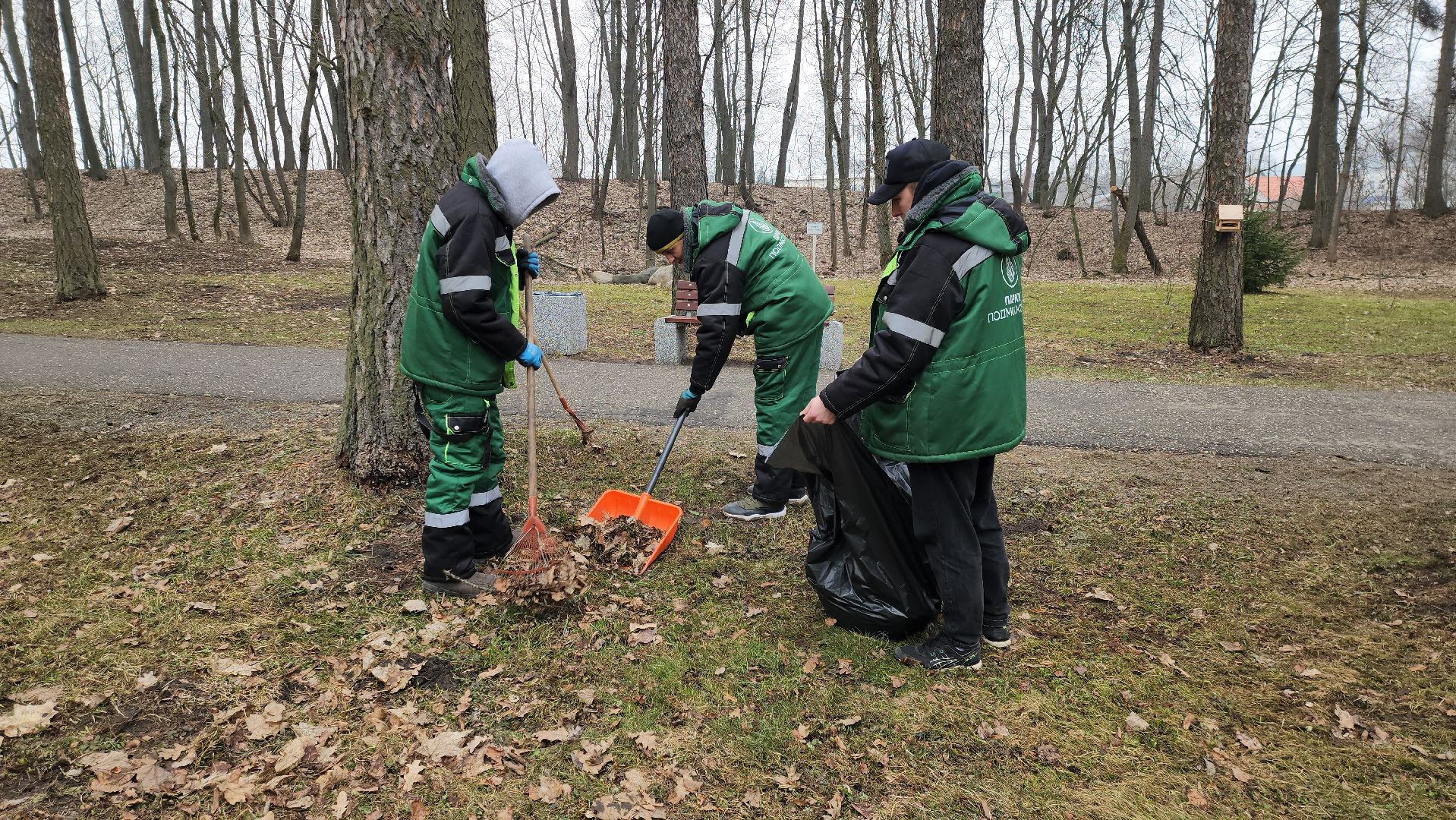 Руза, парк городок, парки подмосковья, субботник,