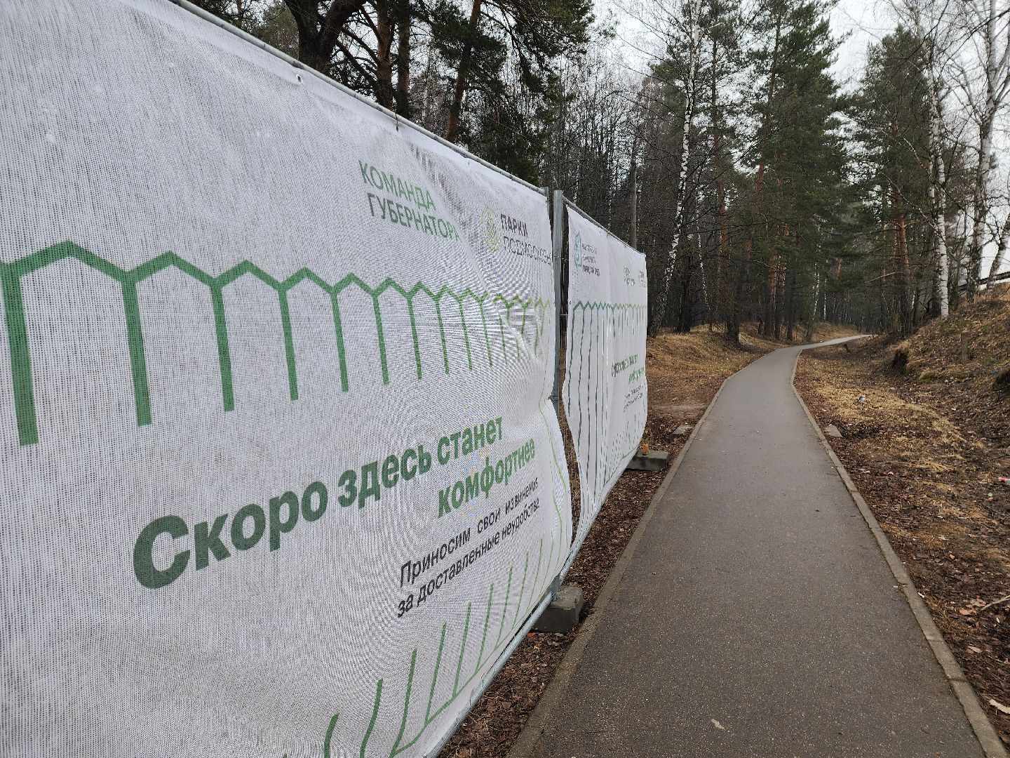 красноармейск, городской округ пушкинский, банный лес, лесопарк, выездная администрация,