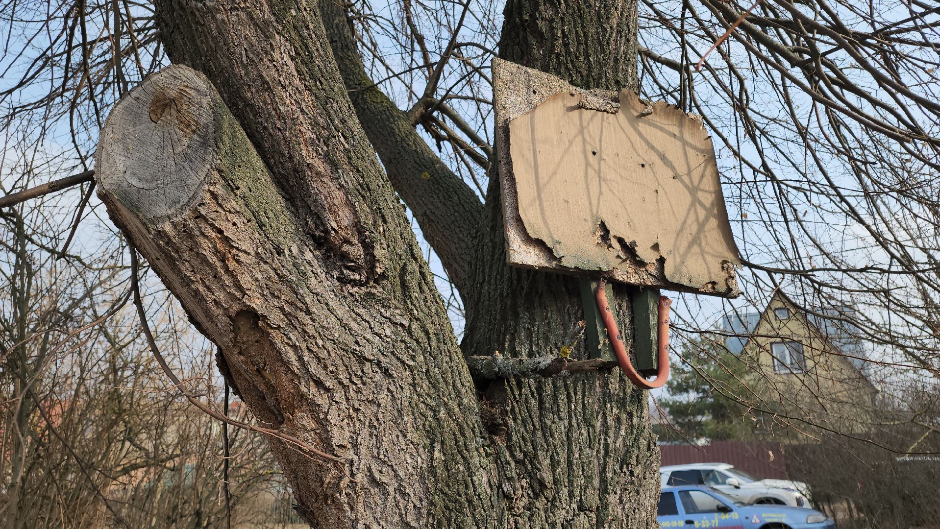 кашира, выездная администрация, спил деревьев, аварийное дерево, жкх, дороги,