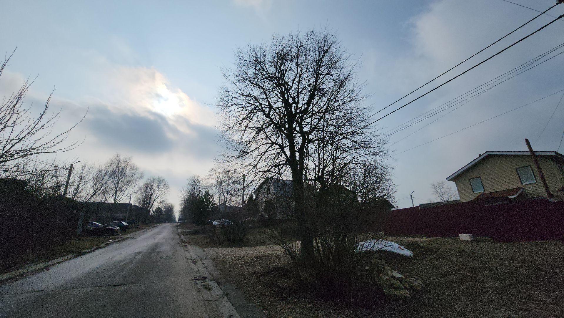 кашира, выездная администрация, спил деревьев, аварийное дерево, жкх, дороги,