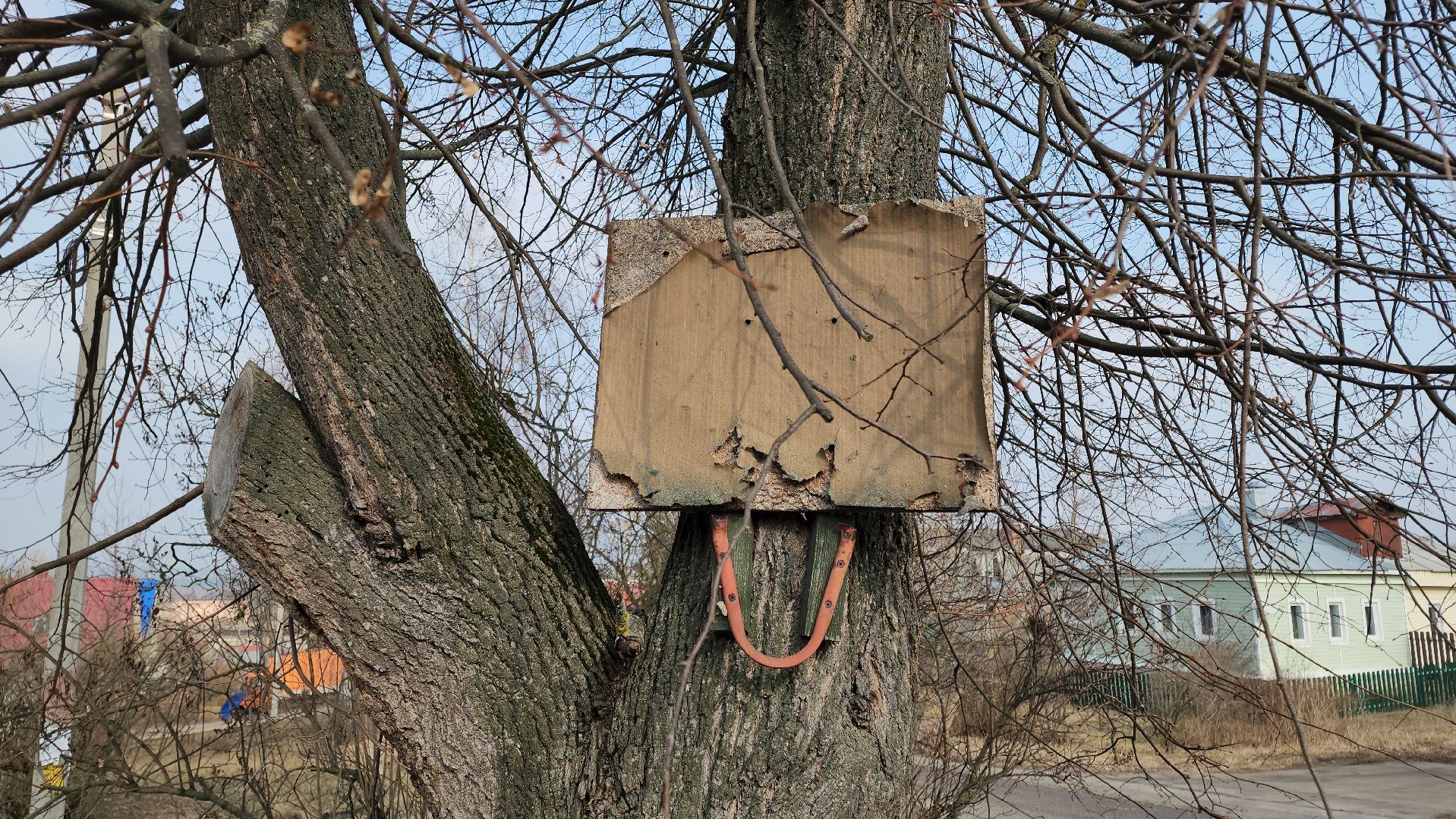 кашира, выездная администрация, спил деревьев, аварийное дерево, жкх, дороги,