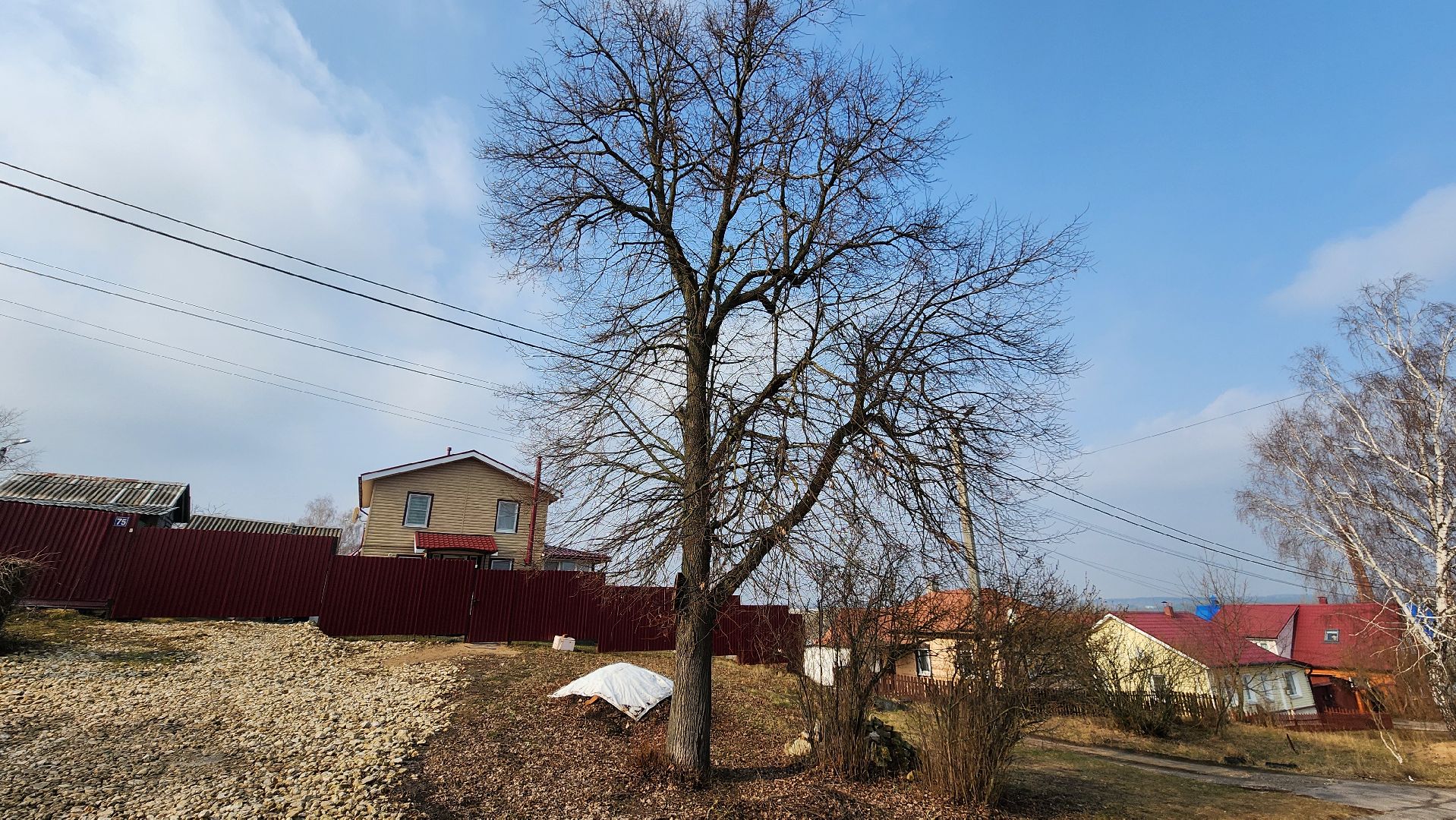 кашира, выездная администрация, спил деревьев, аварийное дерево, жкх, дороги,