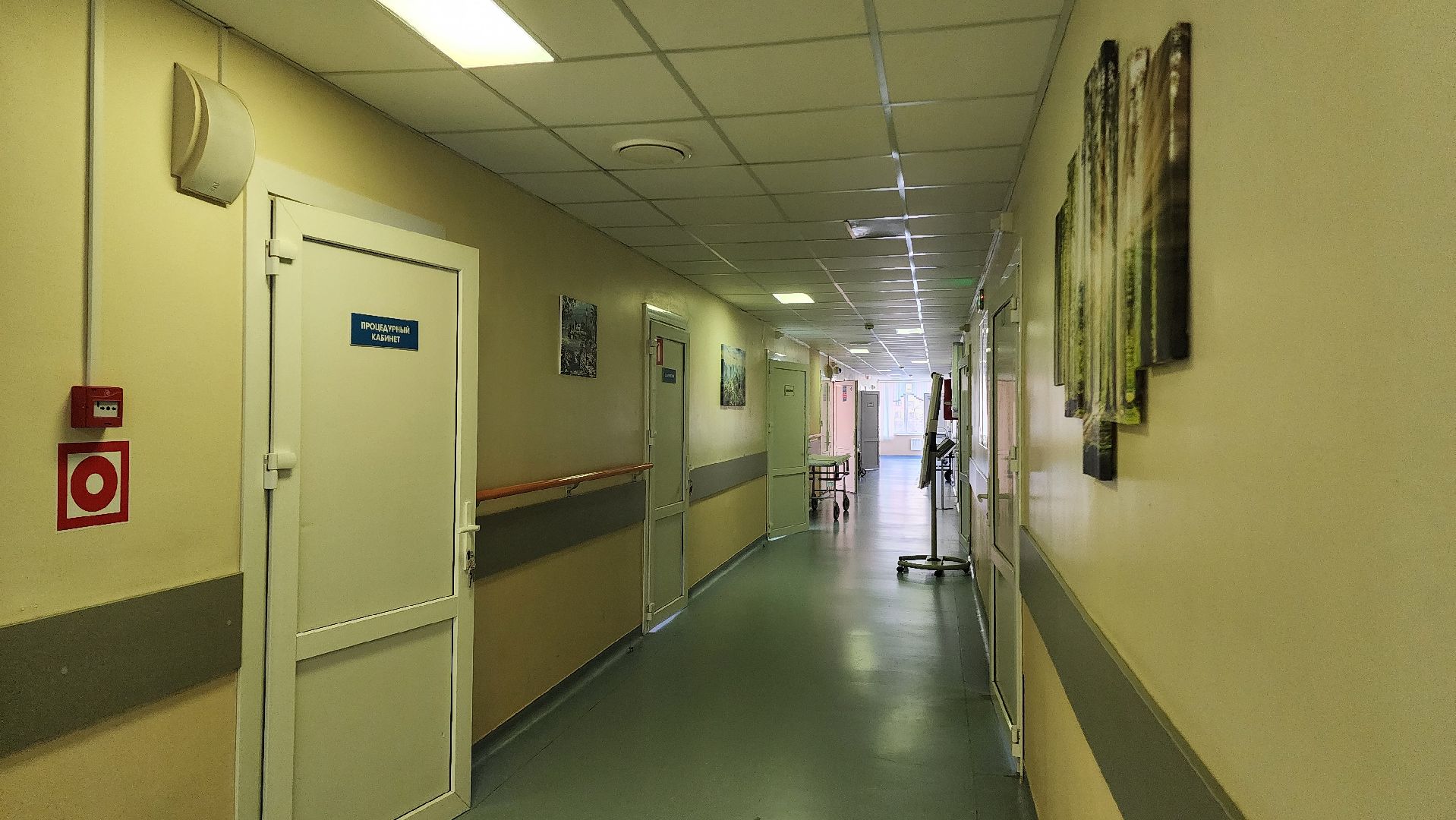 медицина, минздрав, стационар, домодедово, подмосковье, хирургия, операции, урология, гинекология,