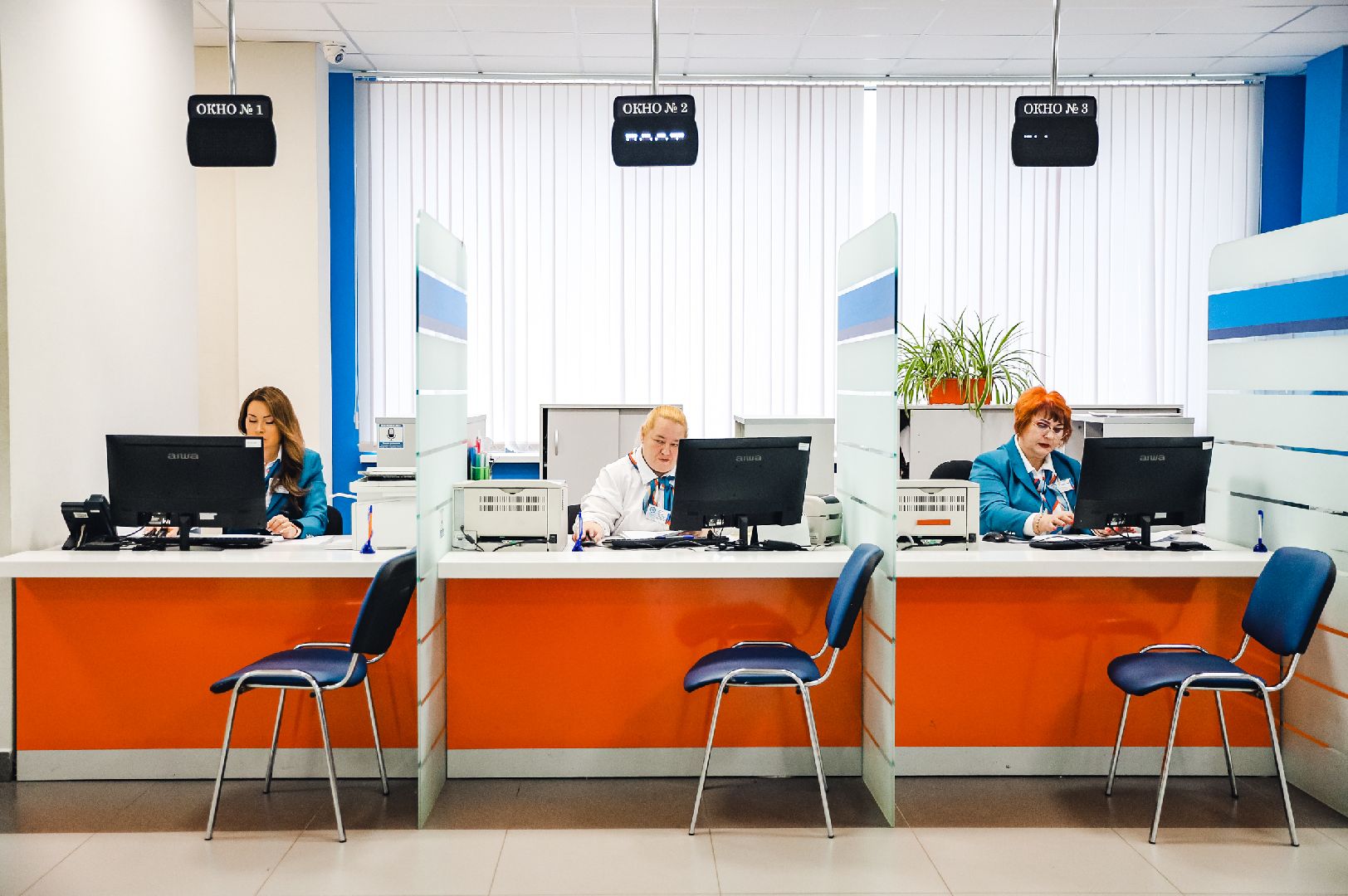 налоги, ифнс, декларация,