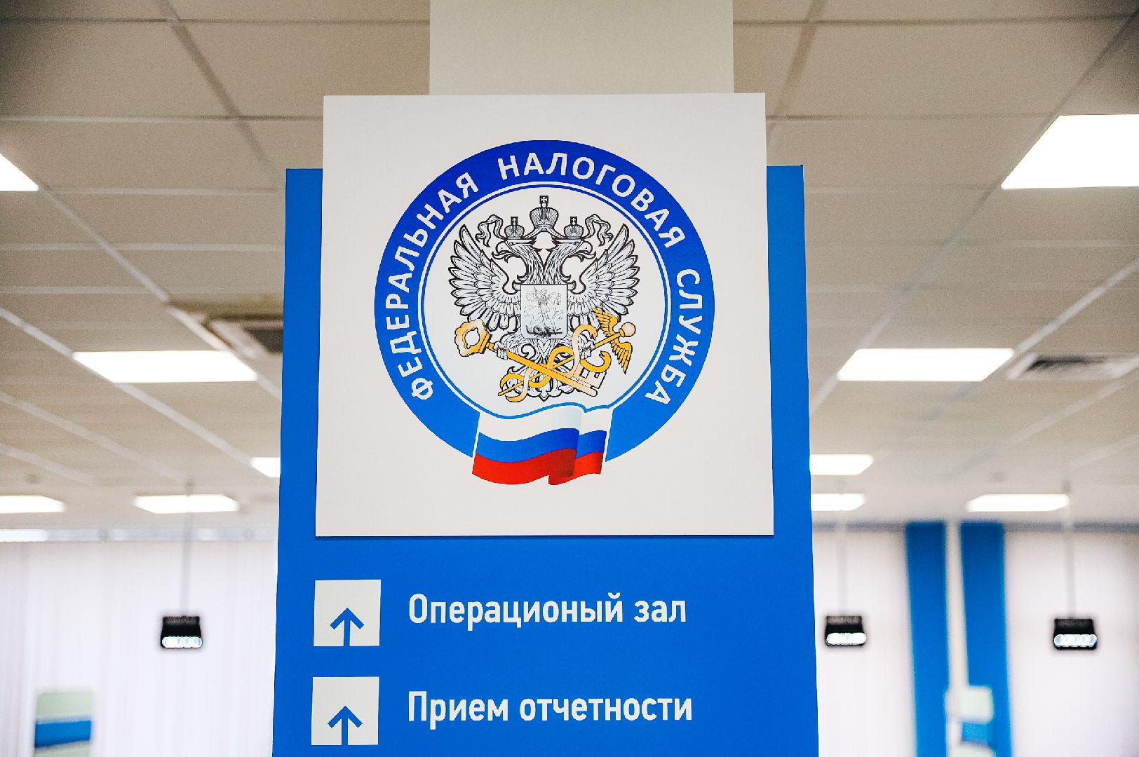 налоги, ифнс, декларация,