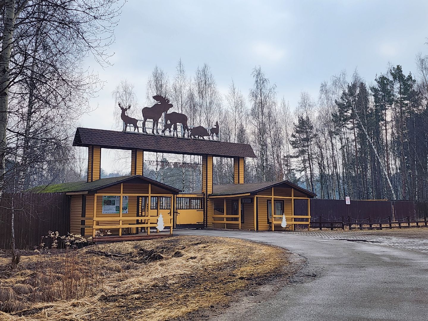 животные, лось, мытищи,