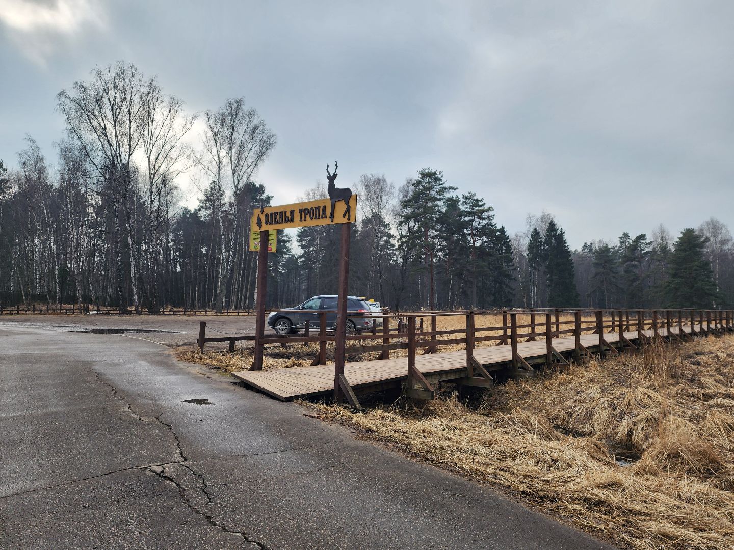 животные, лось, мытищи,