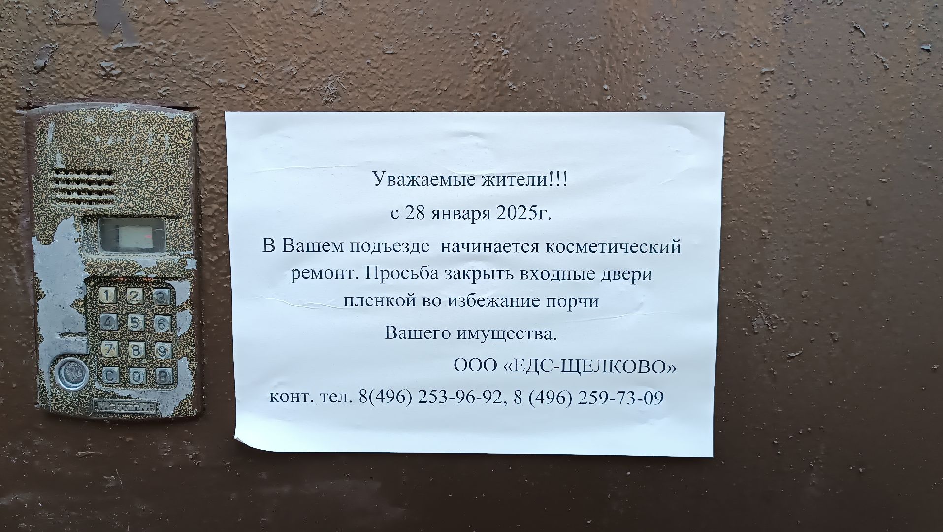 ремонт подъезда, штукатурные работы, чкаловский, щёлково,