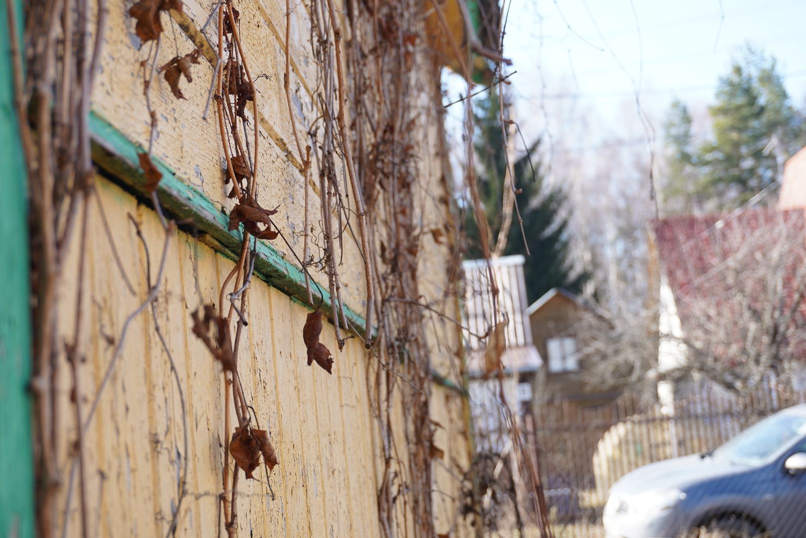 Электрогорск, Рекорд, сельское хозяйство,