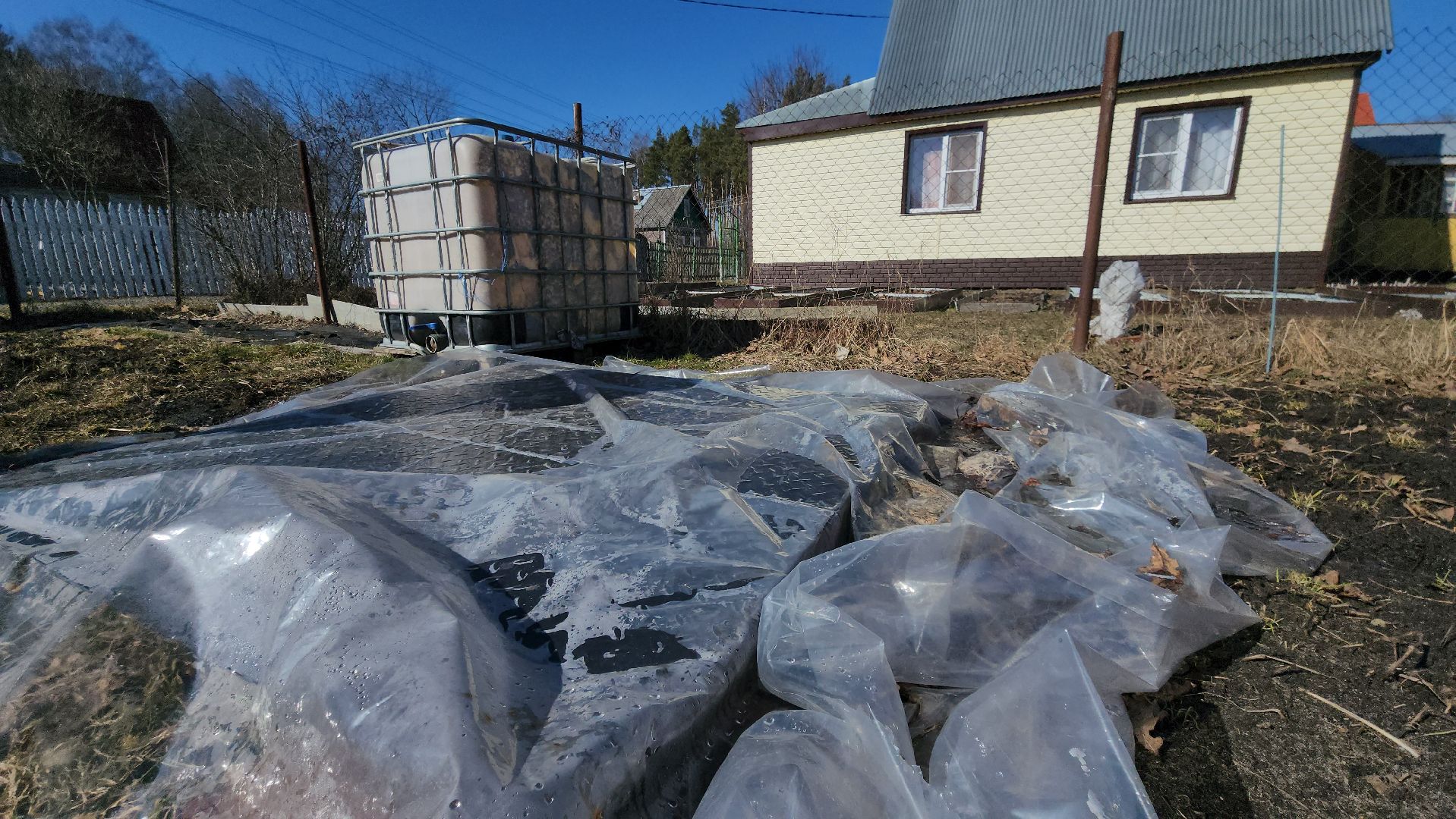 Электрогорск, Рекорд, сельское хозяйство,