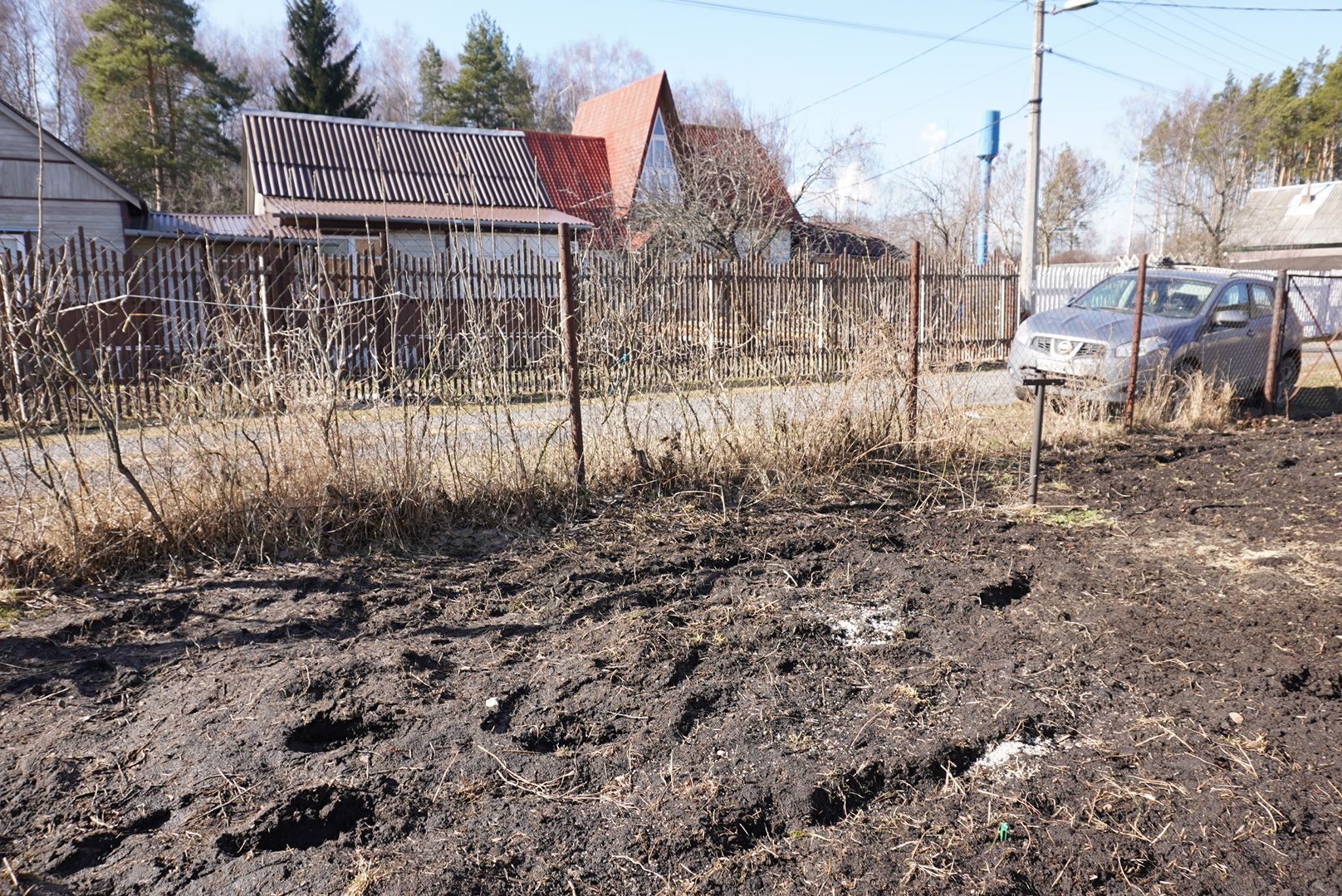 Электрогорск, Рекорд, сельское хозяйство,