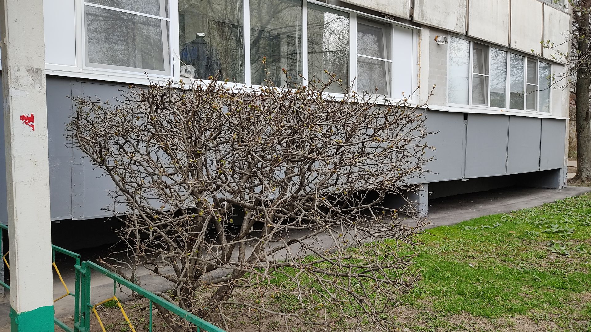 Лобня, ЖКХ, двери