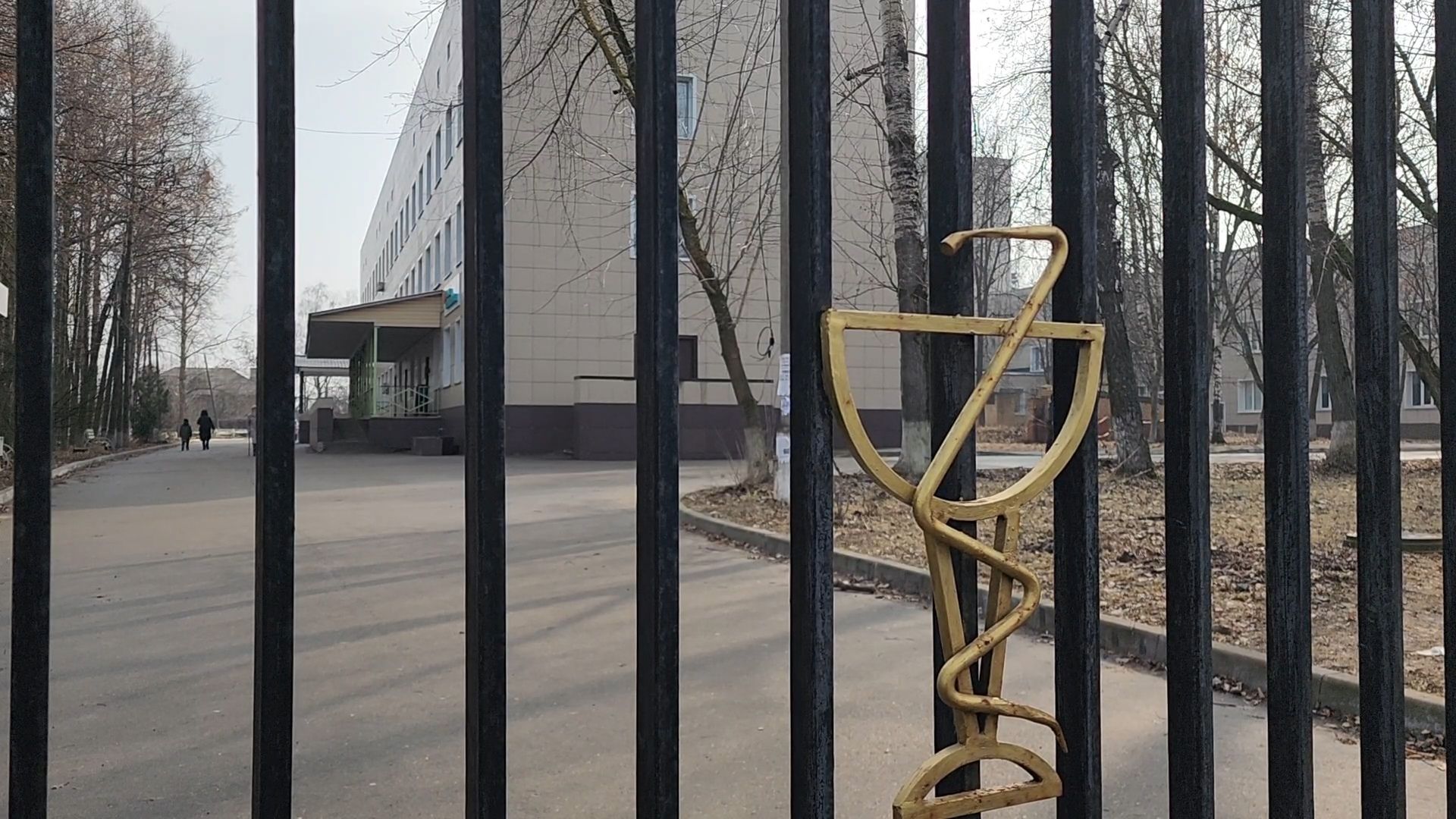 Бронницы, Новый врач, Врач-пульмонолог, Аллергия,