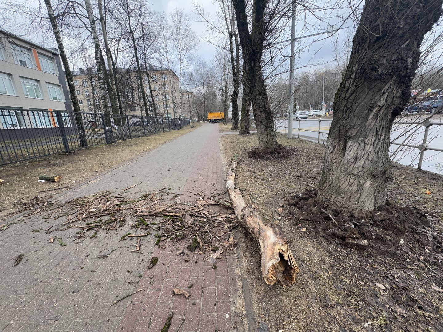 балашиха, ветер, непогода, деревья,