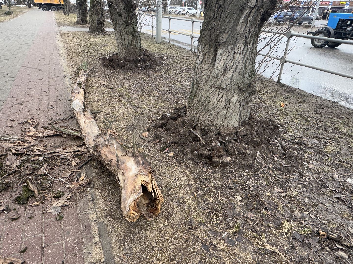 балашиха, ветер, непогода, деревья,