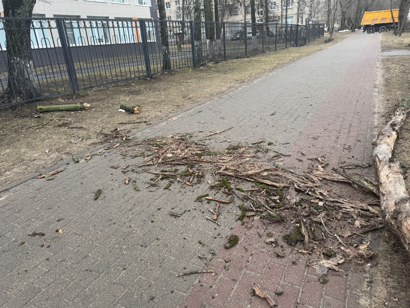 балашиха, ветер, непогода, деревья,