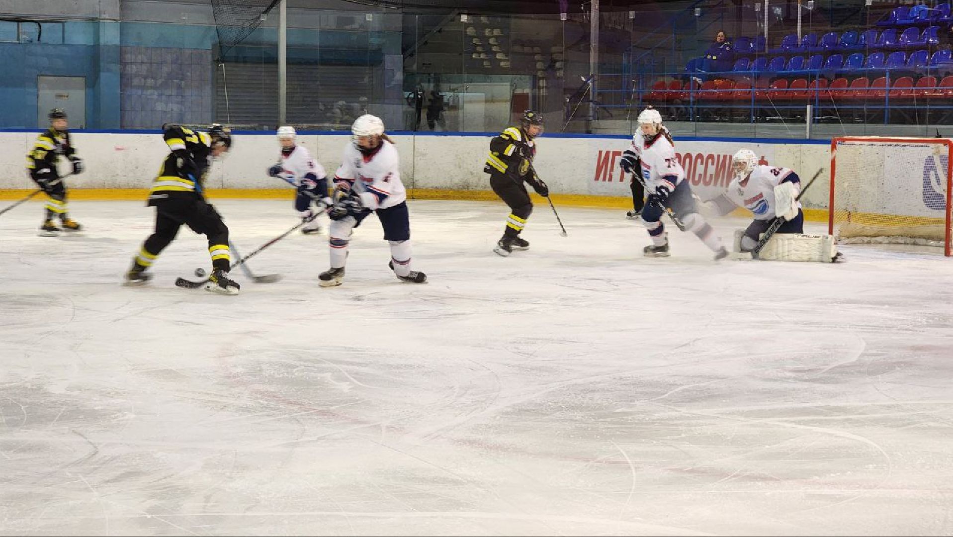 Дмитров, ХК Торнадо, ЖХЛ, Минспорта,