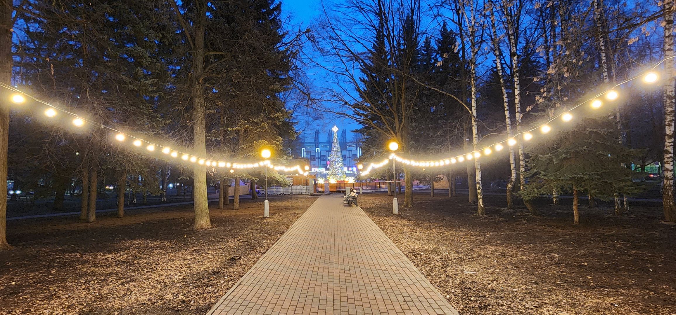 Химки, каток, спорт,