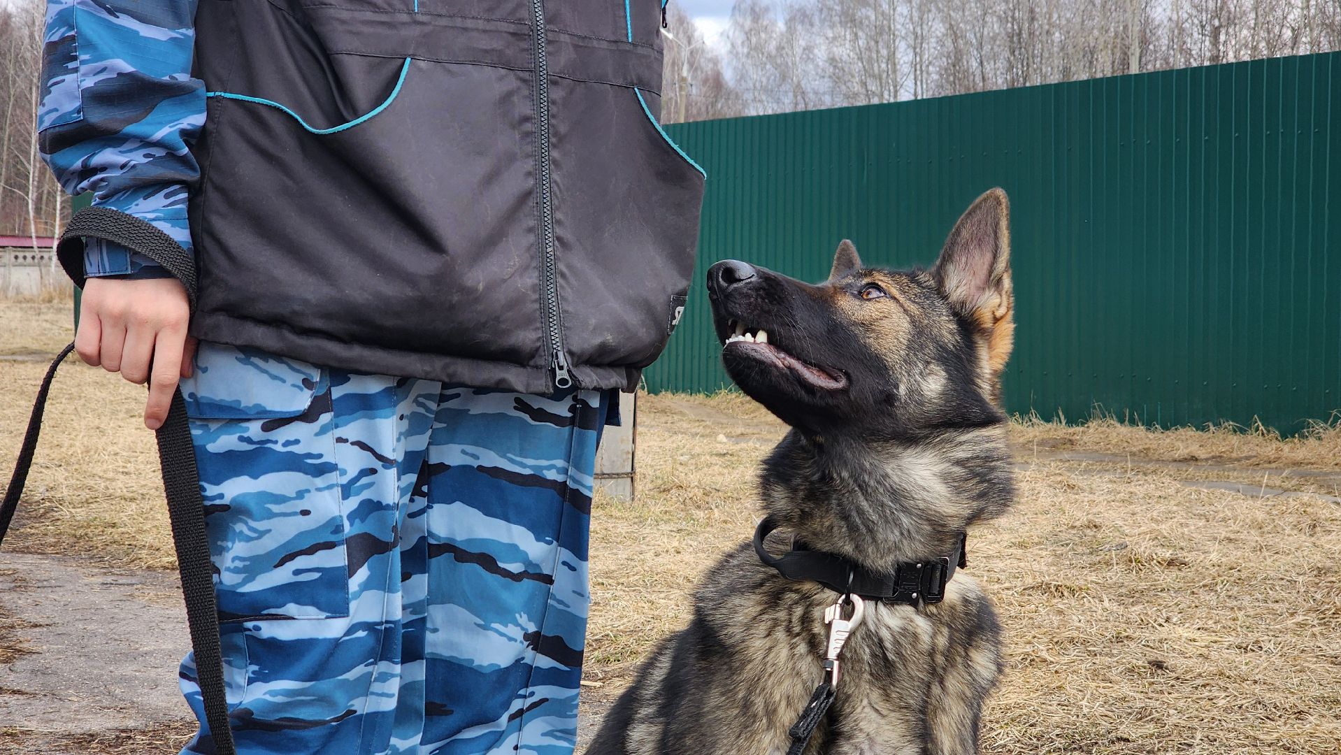 протвино, из выпускниц в преподаватели, губернский колледж, образование,