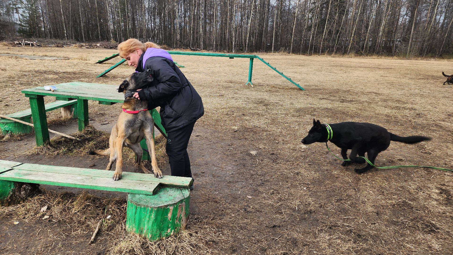 протвино, из выпускниц в преподаватели, губернский колледж, образование,