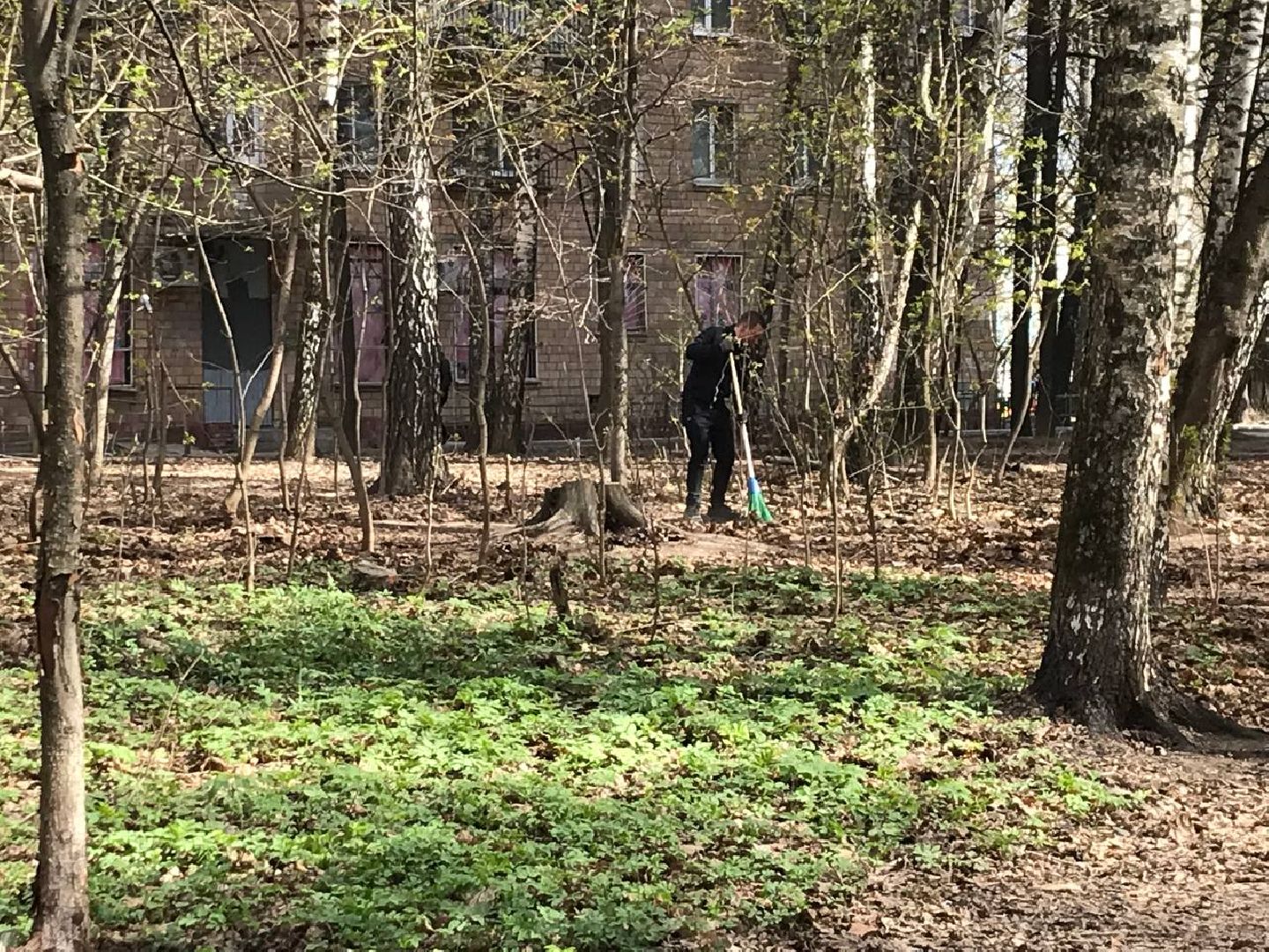 Химки, Левобережный, субботник, уборка, благоустройство