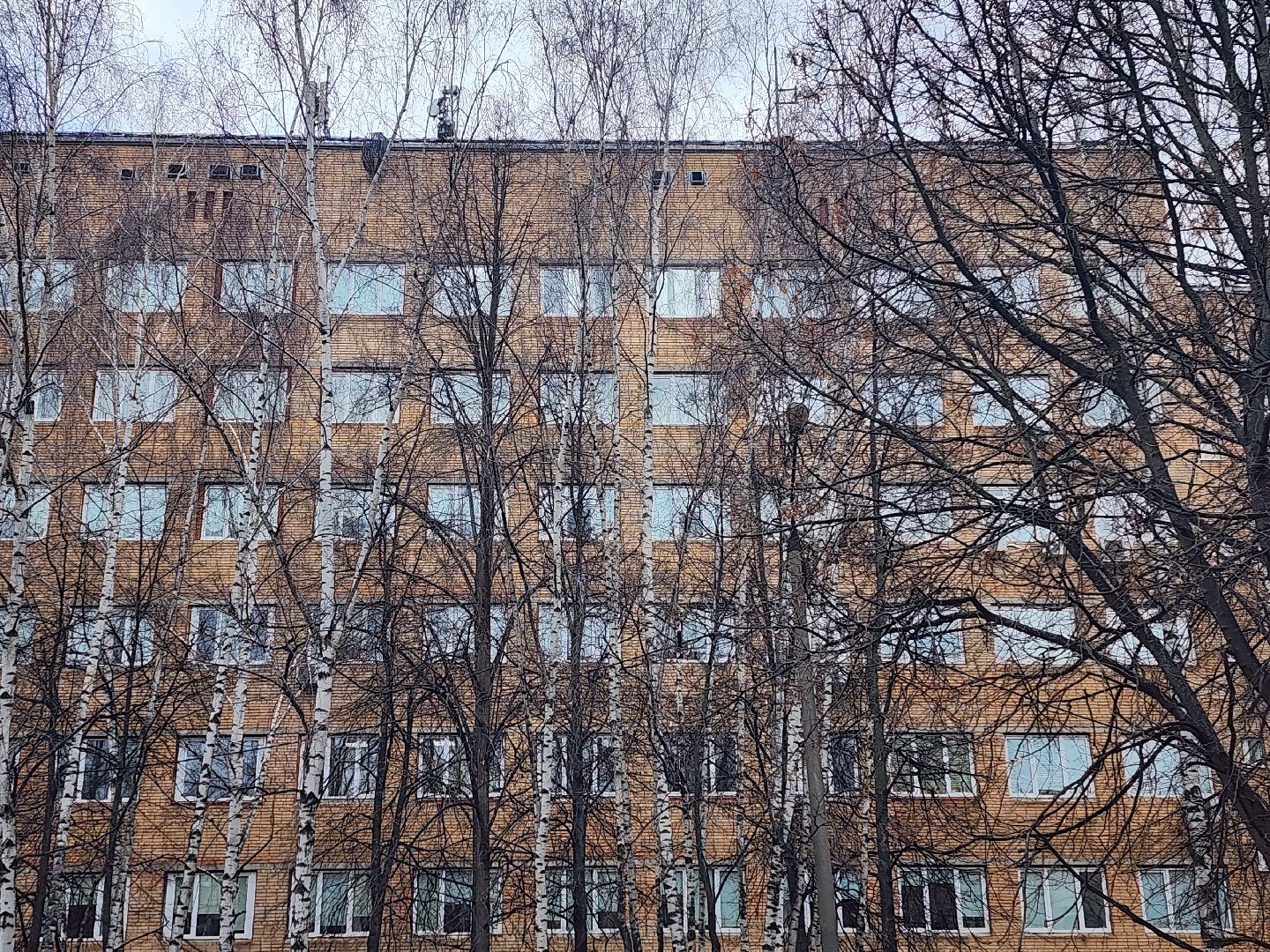 королёв, выездная администрация, врачи,