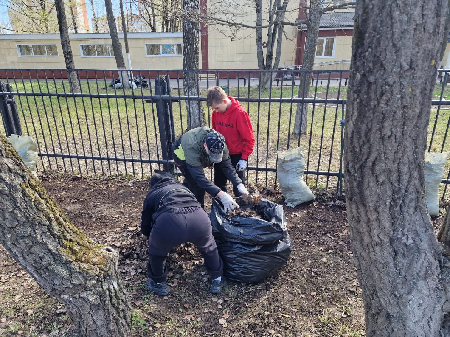Химки, 23 гимназия, школа, субботник, уборка, благоустройство