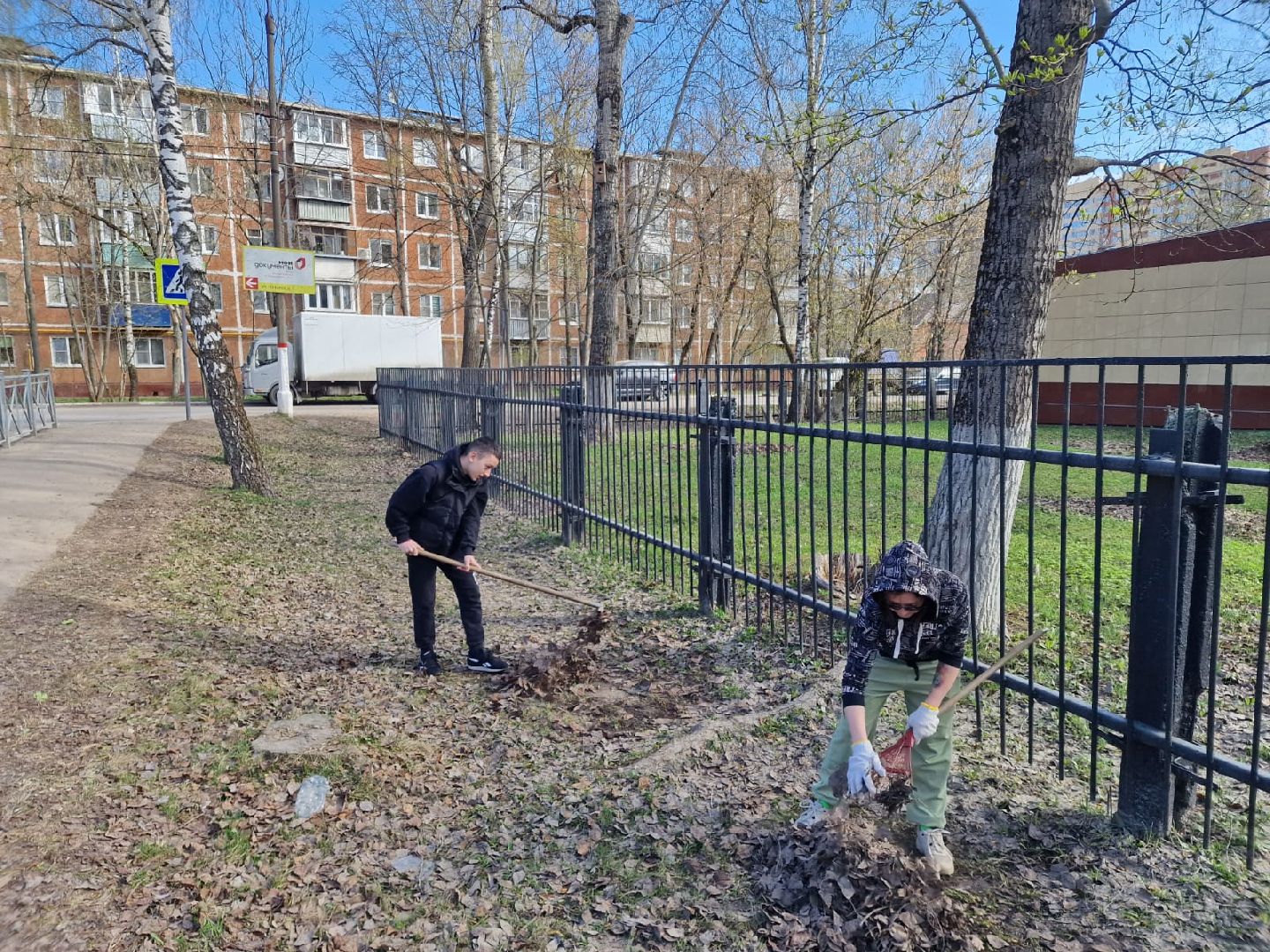 Химки, 23 гимназия, школа, субботник, уборка, благоустройство