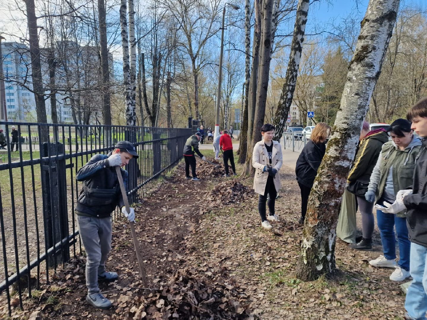 Химки, 23 гимназия, школа, субботник, уборка, благоустройство