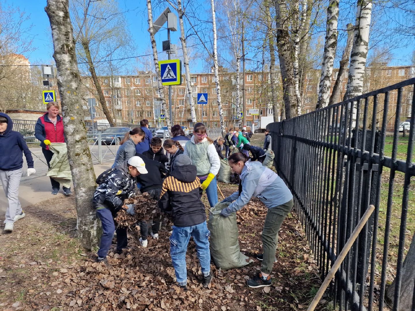 Химки, 23 гимназия, школа, субботник, уборка, благоустройство