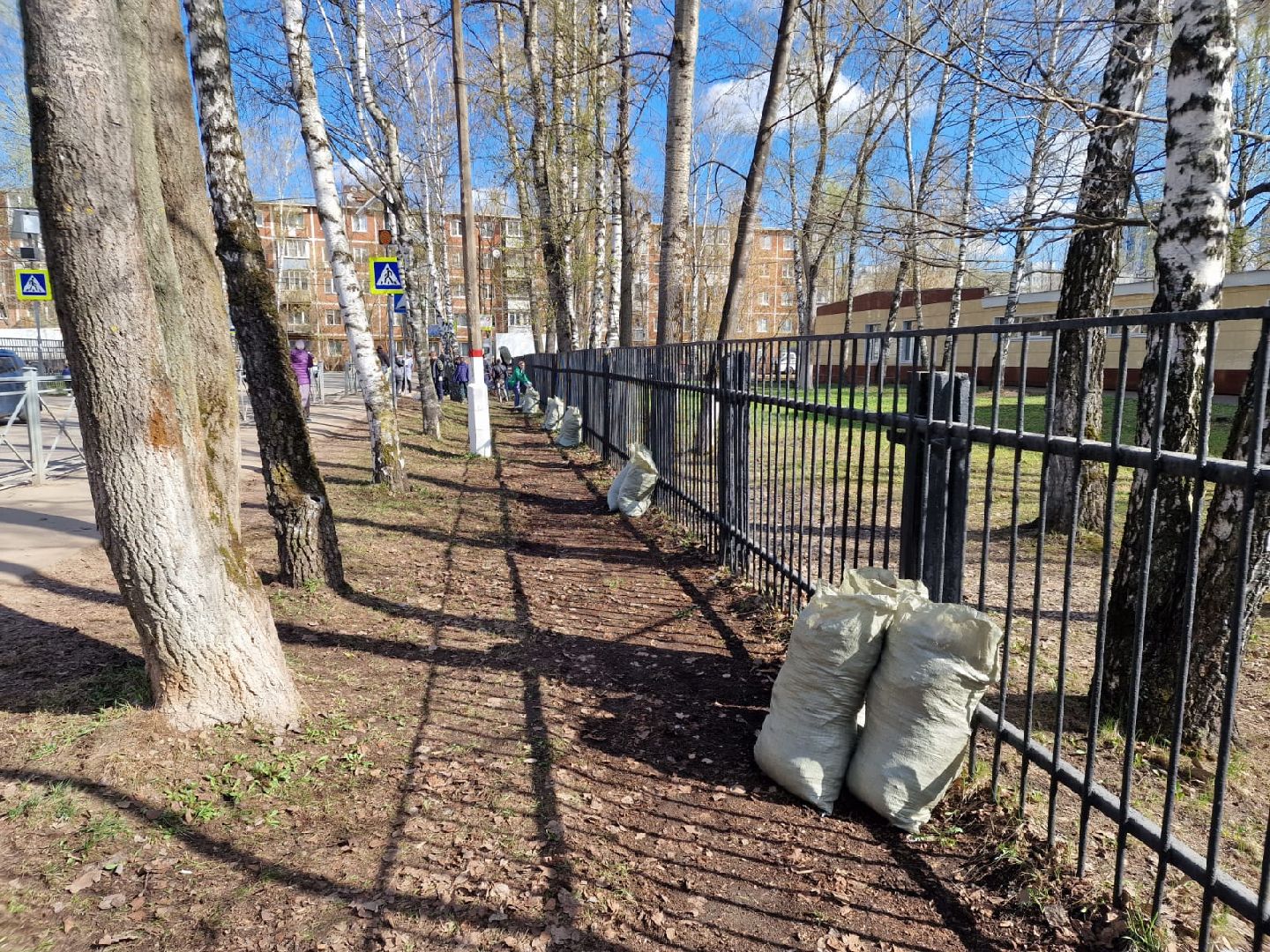 Химки, 23 гимназия, школа, субботник, уборка, благоустройство