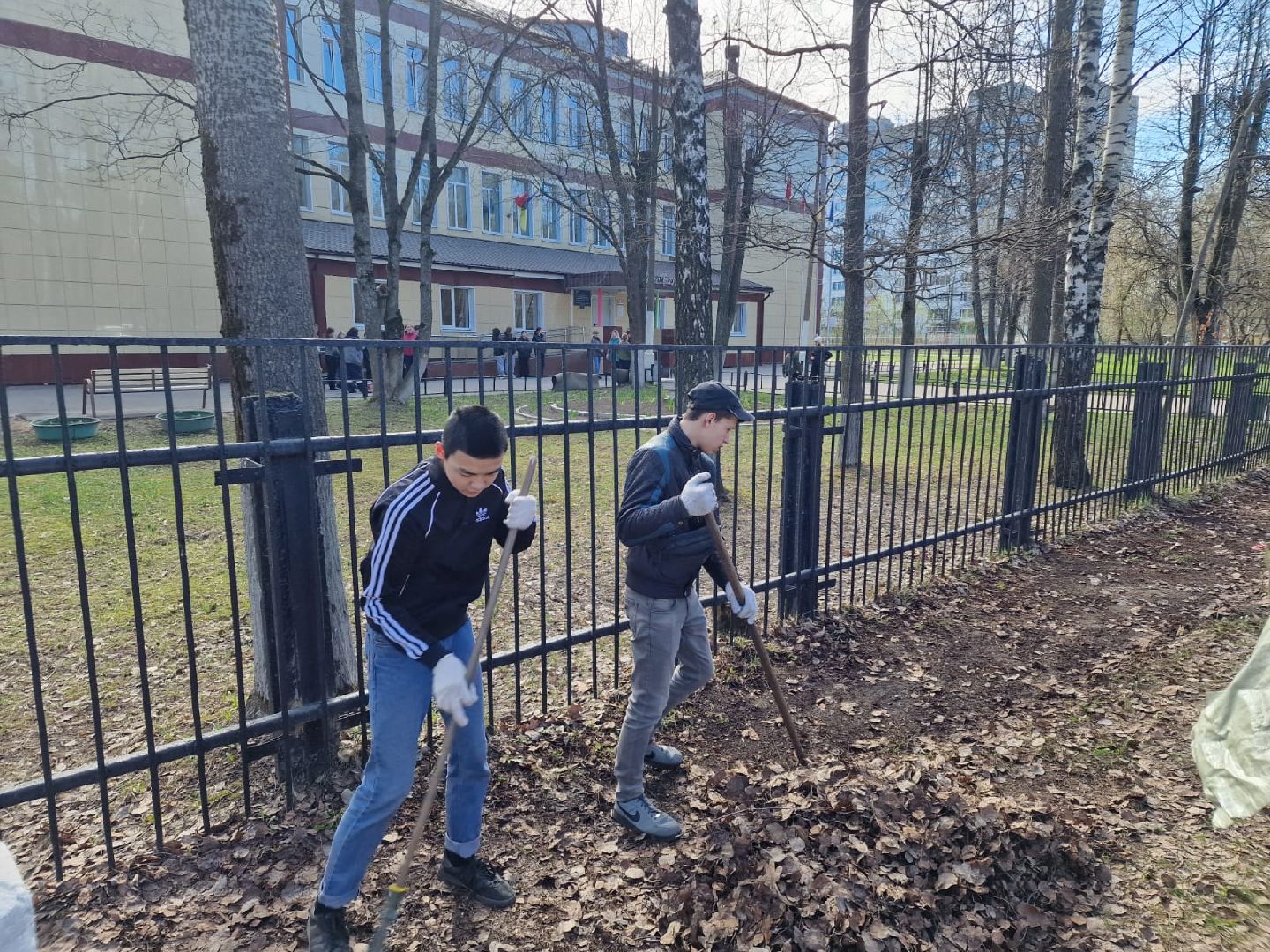 Химки, 23 гимназия, школа, субботник, уборка, благоустройство