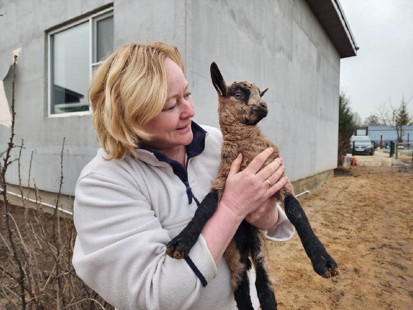 солнечногорск, олени, ферма, хозяйство, жители,