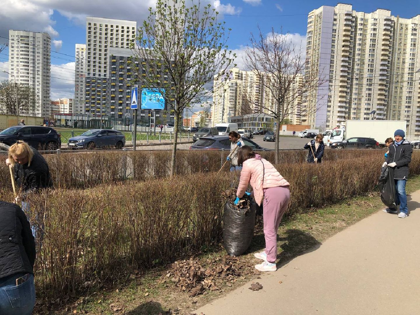 Химки, Новокуркино, Молодежная, благоустройство, субботник, уборка