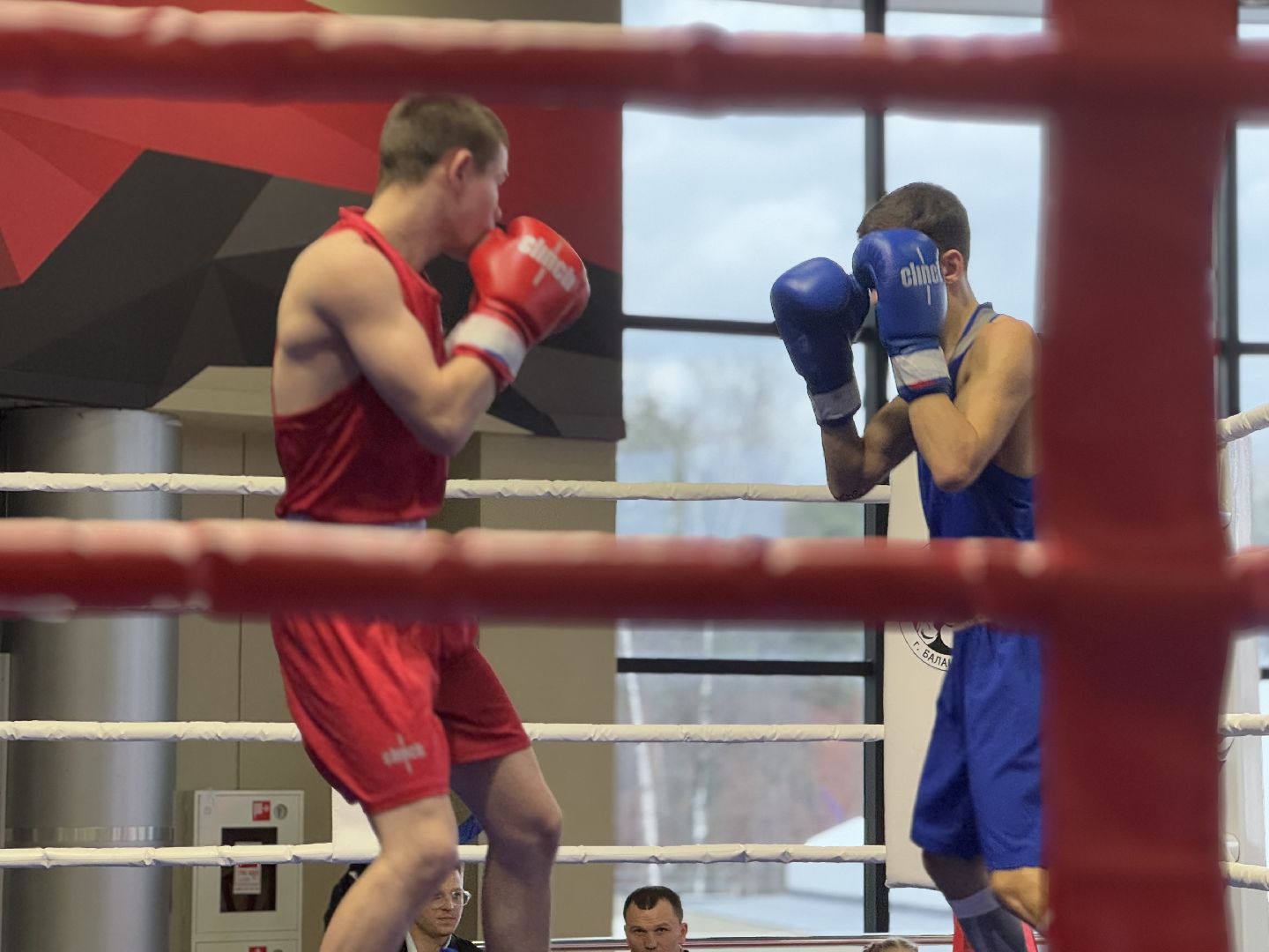 турнир по боксу виктора агеева, спорт, балашиха, ледовый дворец,