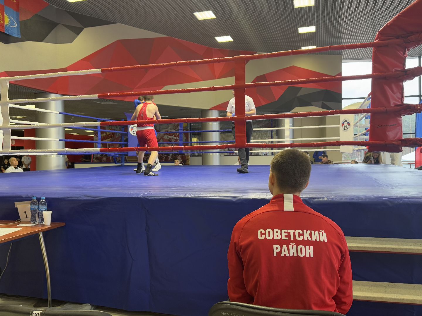 турнир по боксу виктора агеева, спорт, балашиха, ледовый дворец,