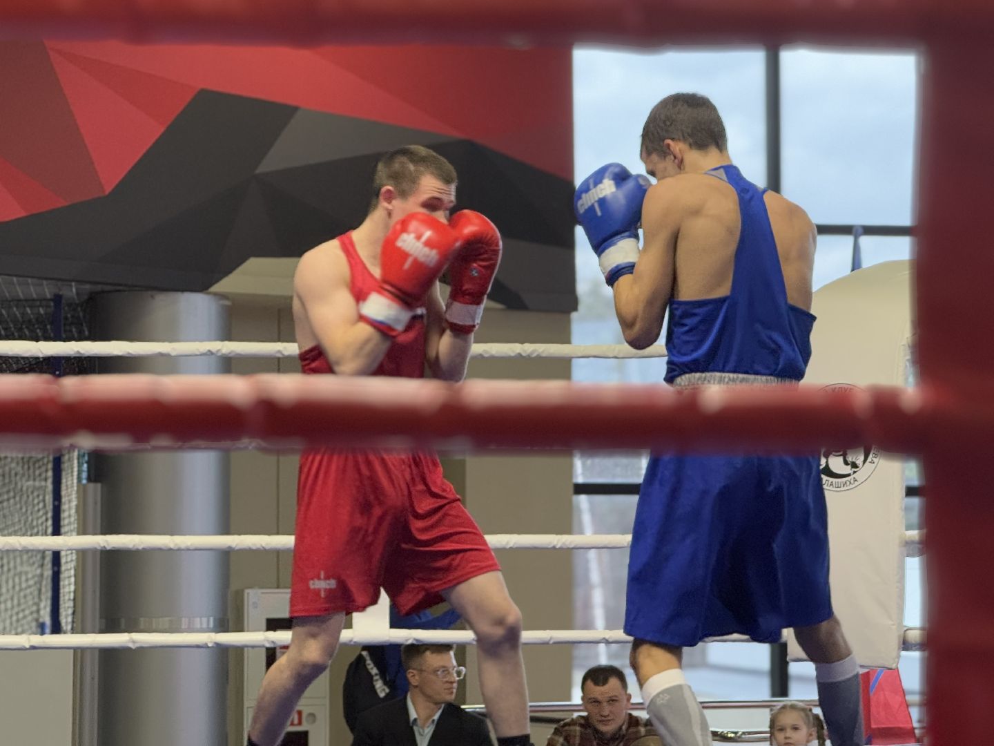 турнир по боксу виктора агеева, спорт, балашиха, ледовый дворец,