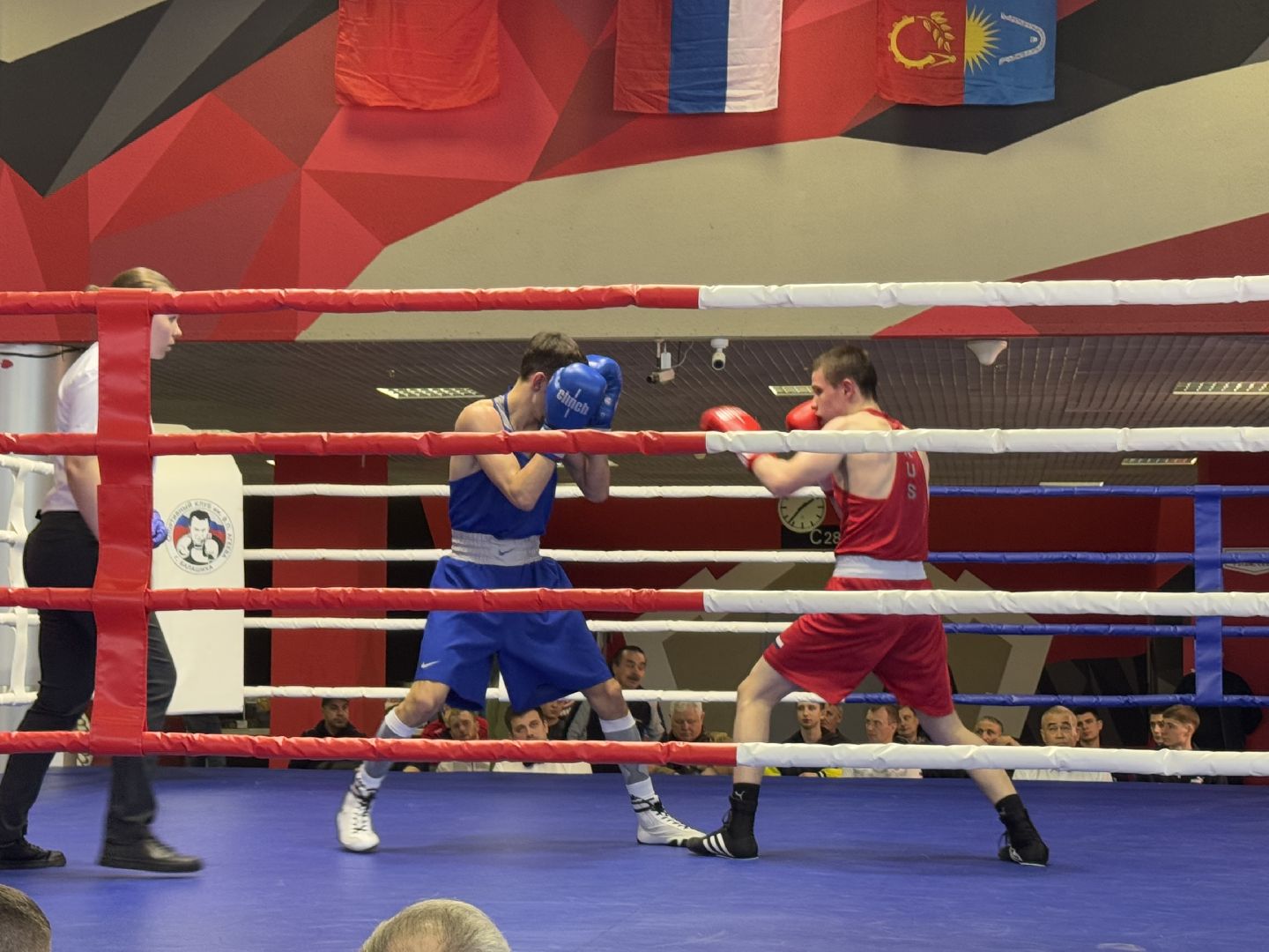 турнир по боксу виктора агеева, спорт, балашиха, ледовый дворец,