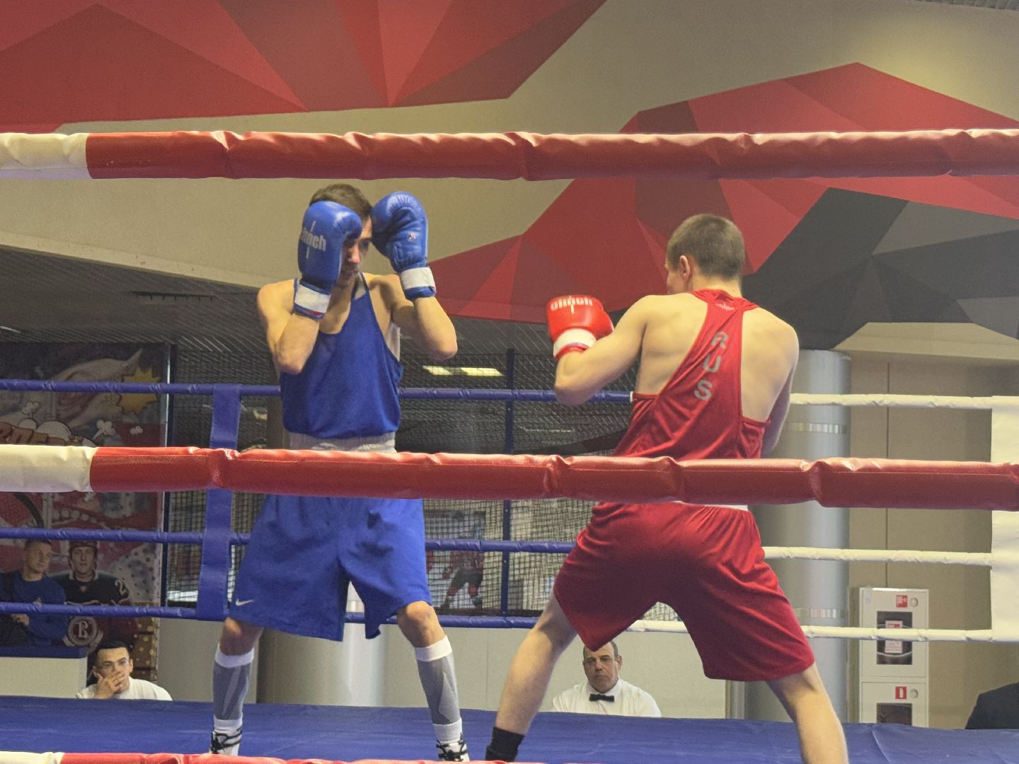 турнир по боксу виктора агеева, спорт, балашиха, ледовый дворец,